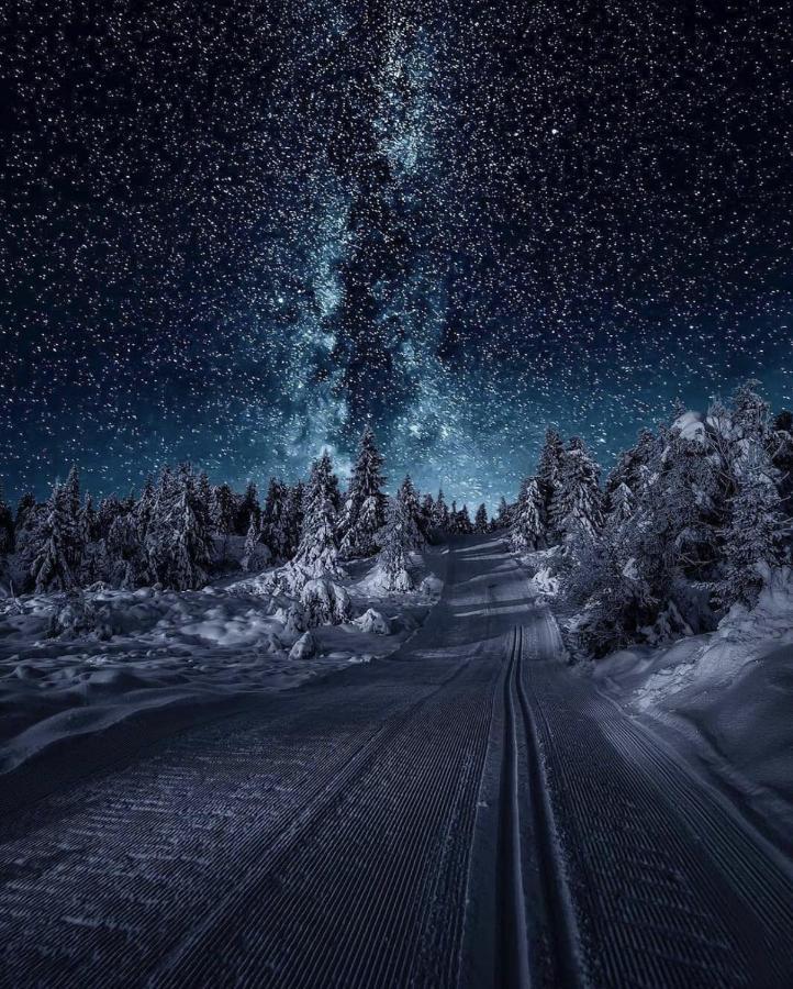 Affittacamere Bo Huset Sortland Esterno foto