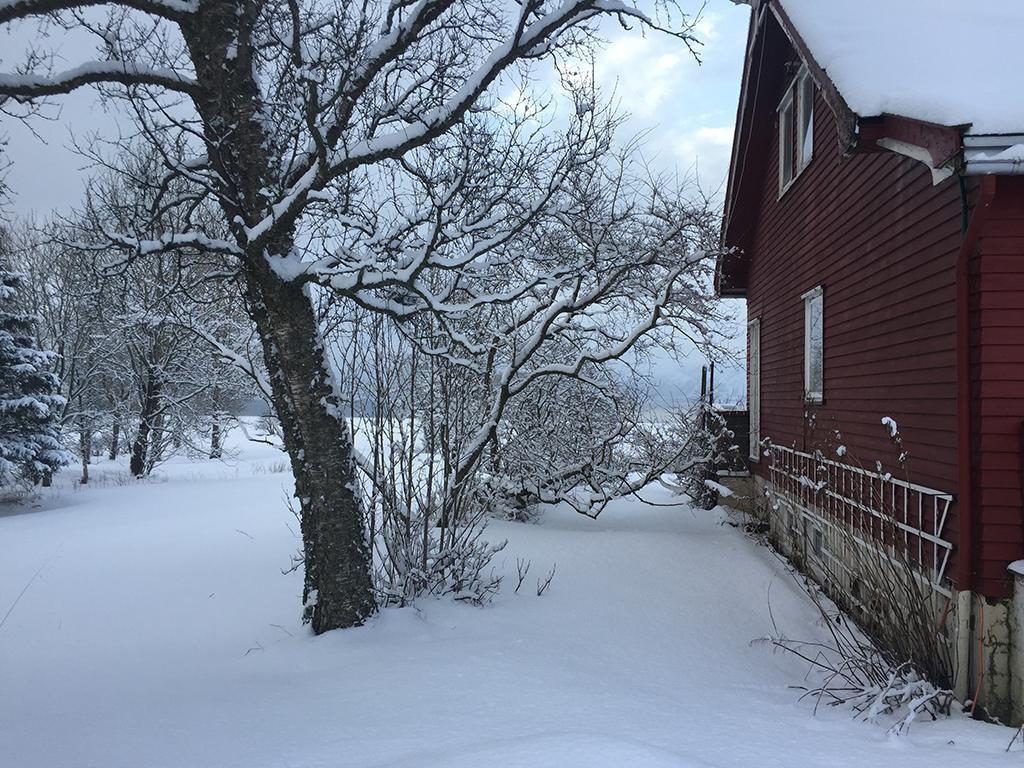 Affittacamere Bo Huset Sortland Esterno foto