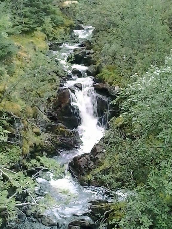 Affittacamere Bo Huset Sortland Esterno foto