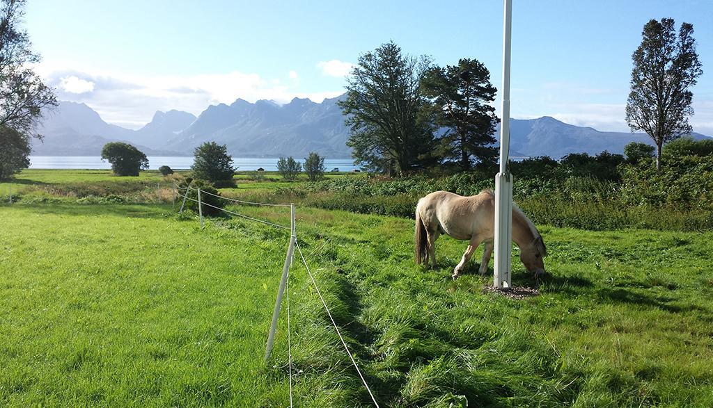 Affittacamere Bo Huset Sortland Esterno foto