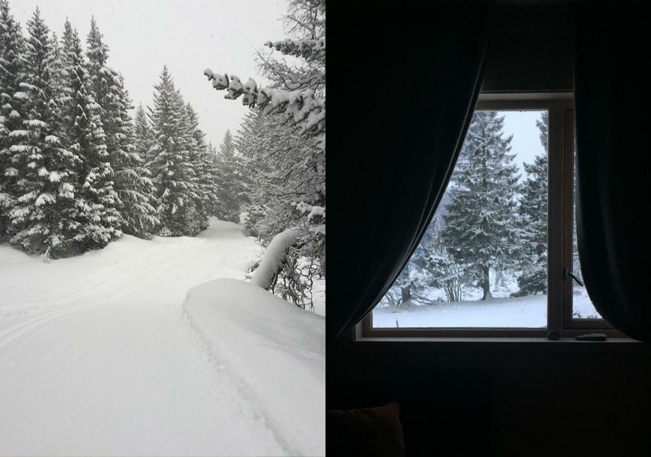 Affittacamere Bo Huset Sortland Esterno foto