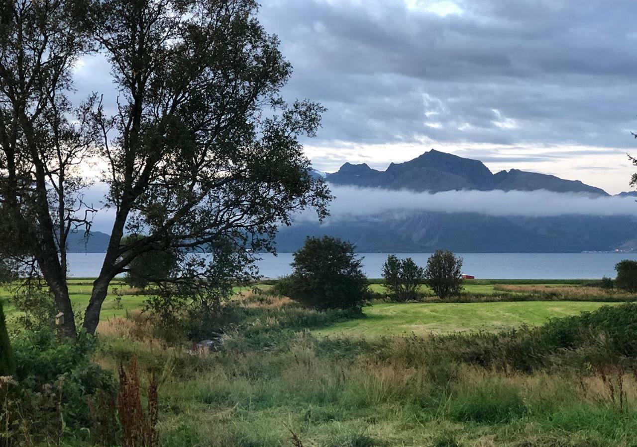 Affittacamere Bo Huset Sortland Esterno foto